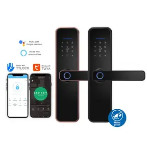 Biometric Intelligent Lock 2021 Hot Selling Wireless Keyless Fingerprint Biometric Code Tuya TTlock APP Intelligent Lock