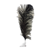 Plumes d'autruche longues et noires teintées Soraj Enterprises, taille 26-28 pouces, artisanat fait main, projets artistiques créatifs, mariage, maison, fête