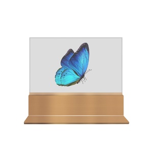 Vitrine d'affichage OLED transparente de 55 pouces, vitrine en verre holographique, affichage <span class=keywords><strong>publicitaire</strong></span> numérique pour les magasins de détail et les expositions - Product Image 3