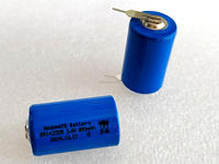 ER14250M ER14505M ER14335M ER34615M baterai Lithium Ion silinder untuk pengukur air untuk aplikasi pengukuran listrik