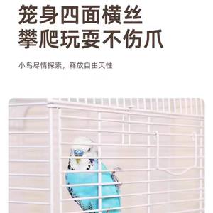 Gabbia per Uccelli Dayang 5000 Quadrata in Plastica di Lusso, Gabbia Orizzontale Ornamentale per Pappagalli e Parrocchetti, per Pappagalli Tigre, Pappagalli Peonia e Pappagalli Testa Nera - Product Image 4