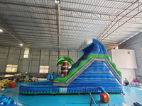Tobogán Acuático Inflable Gigante de PVC de Calidad Comercial para Adultos, Toboganes Inflables Personalizados de Calidad Comercial para Adultos