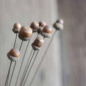 Nouvelles idées de produits 2025 <span class=keywords><strong>Auchentoshan</strong></span> feuilles d'eucalyptus pommes de pin Lotus coton fleurs séchées fleur sèche pour diffuseur d'aromathérapie - Product Image 3