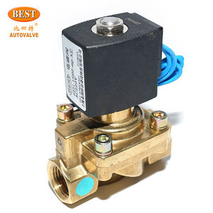 Z231 Messing 2/2 Weg Piloot Bediende Zuiger Magneetventiel Nc 12V 24V 220V 110V Ac Dc Hoge Druk Voor Stoom - Product Image 2