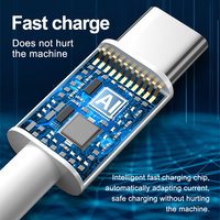 Câble de charge rapide USB-C 65W 120W en gros, adaptateur secteur TPE 6A, câble USB Type-C pour chargeur de téléphone Pro Max 16 17 Pro