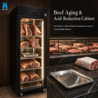 Réfrigérateur de maturation de bœuf BSG630 500L, vitrine de présentation à porte unique pour boucherie et cuisine de restaurant