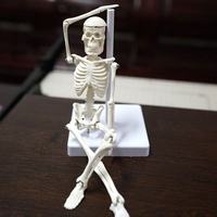 Modelo de Esqueleto Humano Anatómico Mini de 22CM, Desmontable y Articulado, de PVC, para Ciencias Médicas