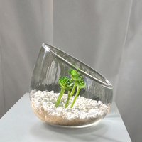 Vase en verre à bouche oblique transparent créatif Micro paysage bricolage ornement décoration de maison et de mariage
