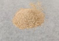 Poudre de Multivitamines Naturelles au Ginseng et aux Huîtres, Complément Alimentaire Énergisant Anti-Fatigue, Marque Privée