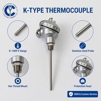 Sonde de température personnalisable en acier inoxydable RTD PT100, 400mm 500mm, filetage NPT 1/2'', thermocouple, support OEM/ODM