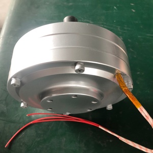 Générateurs à aimants à faible vitesse pour éolienne verticale 100W 200W 250RPM avec boîtier en aluminium 24V, efficacité 95% RX-PMG165-50 - Product Image 5
