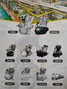 Motor de Alto Rendimiento Zongshen CB300 para Motocicleta Todoterreno <span class=keywords><strong>300cc</strong></span> Refrigerado por Aire de <span class=keywords><strong>6</strong></span> Velocidades con Eje de Balance Encendido CDI Eléctrico - Product Image 6