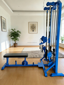 Máquina de fitness de doble pila de poleas bajas para entrenamiento de fuerza con <span class=keywords><strong>polea</strong></span> alta-baja, <span class=keywords><strong>remo</strong></span> y ejercicio de pecho. - Product Image 2