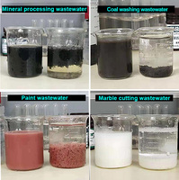 Cristaux absorbants d'eau, floculant, poudre de polyacrylamide cationique, qualité alimentaire