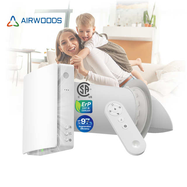 Wireless Multi-Zone Ventilation for HVAC Contractors Commercial ERV with Master-slave Control Retrofit for Hotel F7 Filtered