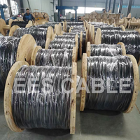 Câble jumelé ABC 0,6/1 kV 2 conducteurs 16 mm² isolé XLPE, conducteur en aluminium, pour installation aérienne, pour le Ghana