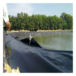 工場直販価格 工業用HDPEプラスチックシート ジオメンブレン 魚池ライナー ダムライナー 養魚場 屋外公園 ランドフィル エビ養殖場 - Product Image 1