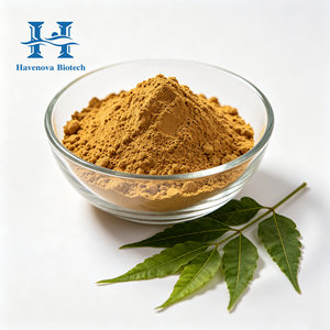 Poudre de Neem de haute pureté en vente directe d'usine, poudre de Neem pure naturelle et biologique, extrait de Neem en poudre pour les soins de la peau et la santé - Product Image 1