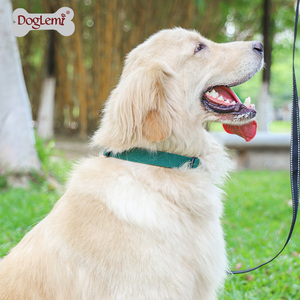 Conjunto de correa de collar de perro de nailon de algodón de alta calidad con logotipo personalizado de liberación rápida estilo moderno reflectante - Product Image 5