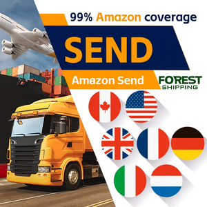 Dropshipping FBAロジスティクス配送エージェント中国で最も安いDDP海上貨物輸送機米国英国ドイツオーストラリア - Product Image 3
