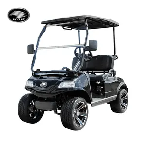 HDK EVOLUTION Vehículo Utilitario Mini Coche 4x4 Scooter 2 Asientos 48V Buggy Trolley UTV Carrito de Golf Eléctrico