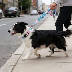 Laisse pour chien réglable, colorée, personnalisée OEM, durable, mains libres pour la promenade - Product Image 6
