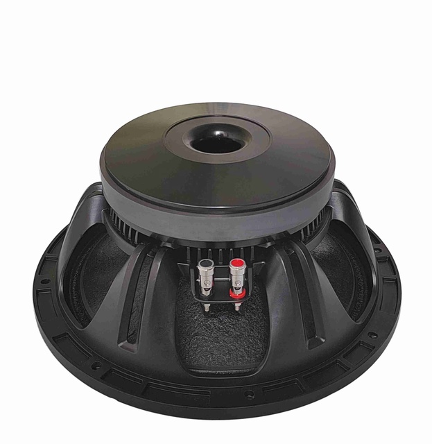 Hot Sale Woofer Audio Speaker 12 Inch