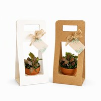 Boîte en papier kraft écologique personnalisée, adaptée aux emballages de plantes en pot, possibilité d'imprimer votre logo