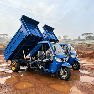 Tricycle diesel à 3 roues haute performance pour le transport de marchandises, le jardinage et l'agriculture, tricycle motorisé - Product Image 2