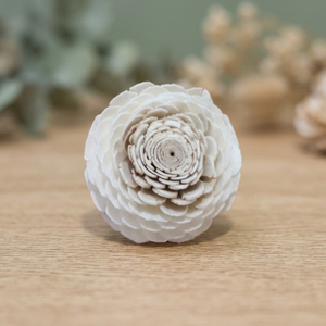 Wholesale White 5 Cm Sola Wood Artificial Dried <b>Reed</b> <b>Diffuser</b> Environmental Friendly Home Decor for Weddings Made in Thailand - Product Image 2
