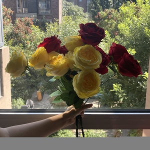 Creative <strong>Forever</strong> Preserved Rose Flower <strong>Bouquet</strong> for Mother's Day Birthday Valentine's Day Graduation Easter-Artificial Roses Gift - Product Image 5