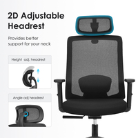 Chaise de bureau ergonomique haut de gamme avec support lombaire 2D, accoudoirs réglables en hauteur, vérin à gaz homologué BIFMA et roulettes silencieuses en nylon PU