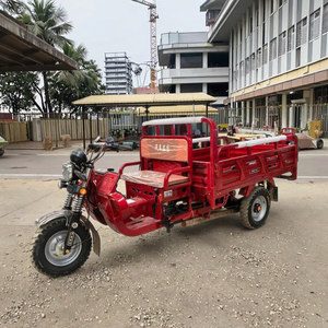 Triciclo de 200cc Más Vendido, Carro de Tres Ruedas con Carrocería Abierta/Cerrada para 2 Pasajeros - Product Image 2