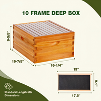 Promotion : Ruche Langstroth complète en bois, 10 cadres, 2/3 couches, avec revêtement en cire
