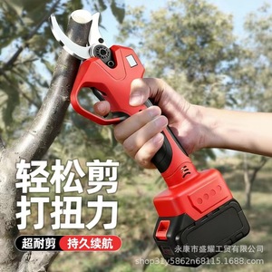 <span class=keywords><strong>Sécateur</strong></span> à main rechargeable robuste pour l'élagage des branches, l'aménagement paysager et l'élagage des arbres fruitiers - Product Image 3