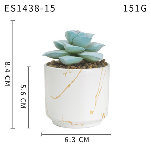 Venta de Macetas de Plástico Azules Poco Profundas para Plantas Suculentas Artificiales, Suculentas Artificiales al por Mayor - Product Image 3