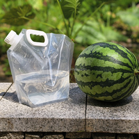 Haute qualité 1L 2L 3L PE pochette debout sac réutilisable en plastique de qualité alimentaire sac d'emballage de l'eau Logo personnalisé pour l'eau minérale bière