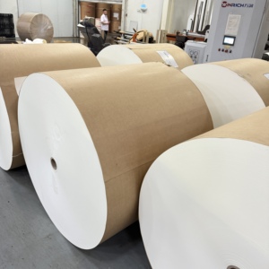 Rouleau de papier vierge en pâte de bois enduit de PE, imperméable, matière première pour la fabrication de gobelets en papier - Product Image 1