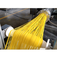 Ligne de fabrication de pâtes italiennes industrielles - Machine à sécher les pâtes semi-automatique à extrusion sous vide en acier inoxydable PARMAT