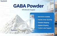 Natürlich Fermentiertes Wasserlösliches GABA-Pulver 99% Reine Gamma-Aminobuttersäure Lebensmittelqualität Rohstoff