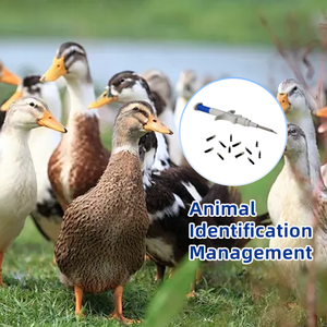 134.2KHz Mini Animal Microchip <span class=keywords><strong>Prix</strong></span> Usine RFID Bioglass Microchip Pet ID Tag pour Chien <span class=keywords><strong>Chat</strong></span> Poisson Animaux <span class=keywords><strong>Identification</strong></span> - Product Image 1