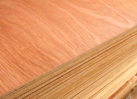 Contreplaqué marin imperméable Hysen 18 mm, placage Okoume, noyau en eucalyptus, pour extérieur