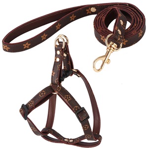 Collare e Guinzaglio per Cani di Piccola Taglia in Pelle e Pelliccia Personalizzati di Lusso Premium - Product Image 2