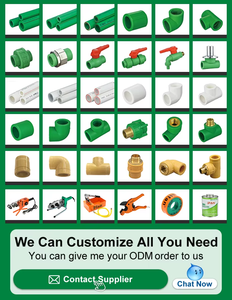 IFAN High Pressure Plastic Pipe Fittings DIN8077/8078 <strong>PPR</strong> Water Pipe Fittings All <strong>Size</strong> <strong>PPR</strong> Fittings - Product Image 3