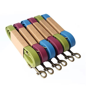 Collier et laisse pour chien personnalisés en PVC imperméable de luxe, nouvelle collection, vente en gros, avec sac à déjections - Product Image 1