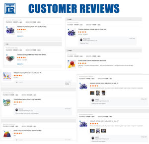 TONGDA Fabriek maakt op maat gemaakte fenolische stofgeleidingsringen/WR-ondersteunende slijtvaste ringen - Product Image 4