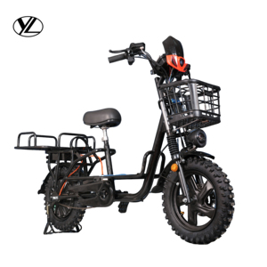 Vélo électrique de tourisme moderne, moteur 3000W, capacité de charge 250kg, éclairage LED, écran intelligent, batterie au lithium pour les professionnels de la livraison - Product Image 1