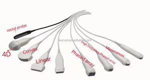 Eur Huisdier Accurate Draagbare Gebruikte Volledig Digitale 3d Kleur Doppler Echografie Diagnostische Scanner Prijs Voor Dierenziekenhuis - Product Image 3