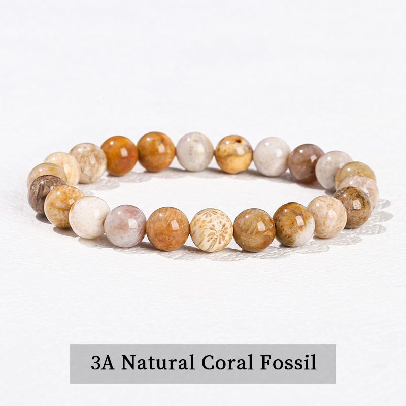 AAA Natural Coral Fossil Bracelet