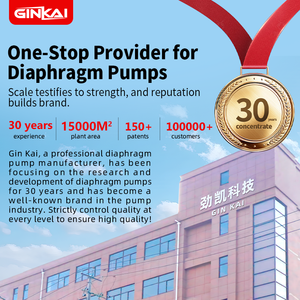 GK 1 "25 мм алюминиевый сплав с воздушным приводом двойной мембранный насос пневматическая мембрана для передачи жидкости для дизельного топлива - Product Image 6